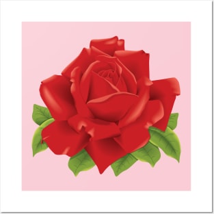 Red Rose Blossom Posters and Art